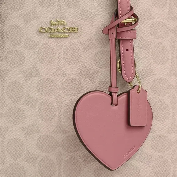 NWT！COACH Mollie Tote Bag 25 In Signature With Heart Charm（CDF03）fast shipping